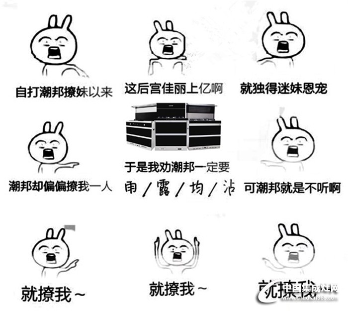 我勸皇上要雨露均沾~但皇上偏不聽，就寵潮邦集成灶！