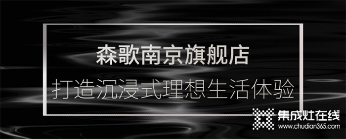 森歌南京分公司攜四店盛大開業(yè)，探索理想廚房生活的可能