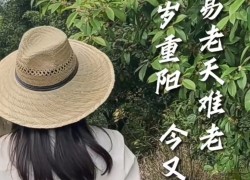 【重陽節(jié)桂花糕】“桂花雨”落在松軟的米糕上，連著桂花蜜的甜味融化在舌尖上，這份獨屬于秋天的歡迎儀式，連帶著重陽節(jié)的獻禮一起和大家分享！